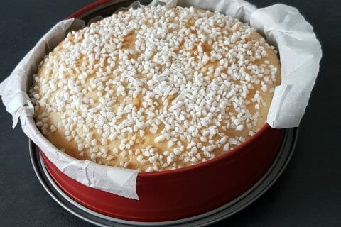 Cliquez pour zoomer ! Tropézienne au Thermomix