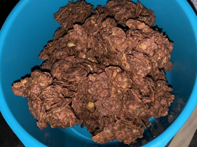 Cliquez pour zoomer ! Roses des sables Thermomix par lexane54