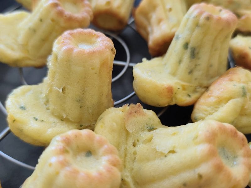 Cliquez pour zoomer ! Bouchées courgettes mozzarella Thermomix par perrine50