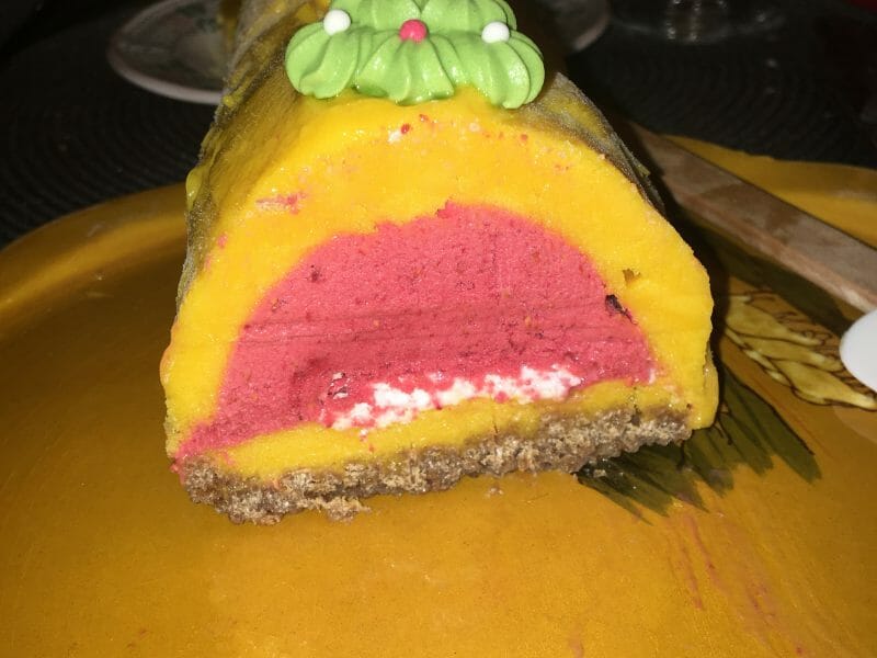 Cliquez pour zoomer ! Bûche glacée mangue et framboise Thermomix par lesmoulinous