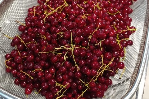 Cliquez pour zoomer ! GelĂ©e de groseilles Thermomix par đ VĂRO đ đ