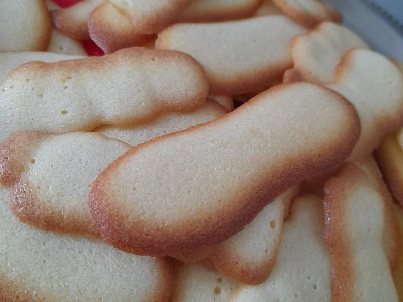 Cliquez pour zoomer ! Langues de chat Thermomix par stfany91