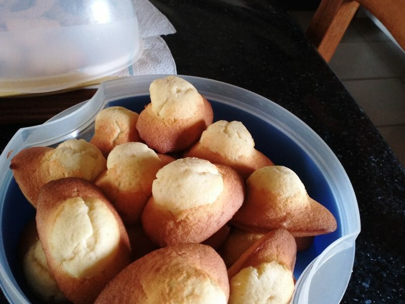 Cliquez pour zoomer ! Madeleines Thermomix par sysaille
