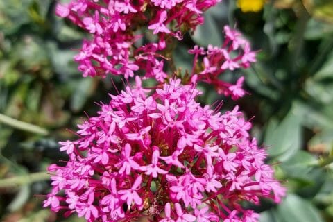 Cliquez pour zoomer ! Pain polaire Thermomix par mariaknight