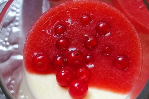 Cliquez pour zoomer ! Panna Cotta Thermomix par mariaknight