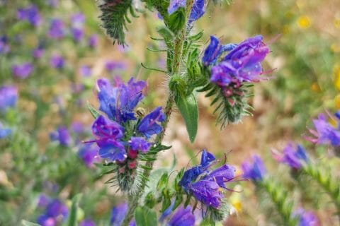 Cliquez pour zoomer ! Pain polaire Thermomix par mariaknight