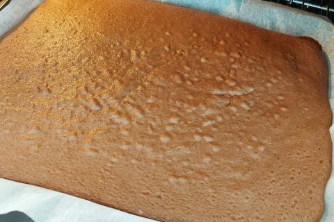 Cliquez pour zoomer ! Génoise au chocolat Thermomix par mariaknight