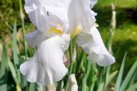 Cliquez pour zoomer ! 20210514_154332