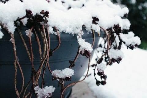 Cliquez pour zoomer ! Photo de mariaknight Thermomix par mariaknight