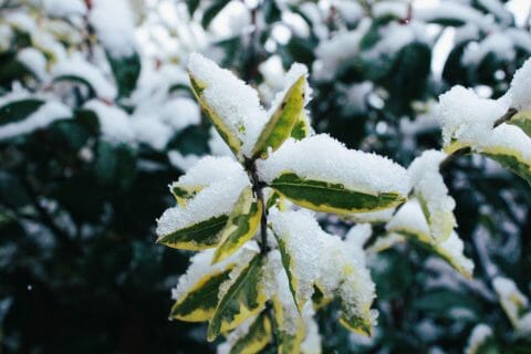 Cliquez pour zoomer ! Photo de mariaknight Thermomix par mariaknight