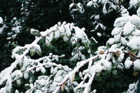 Cliquez pour zoomer ! Photo de mariaknight Thermomix par mariaknight