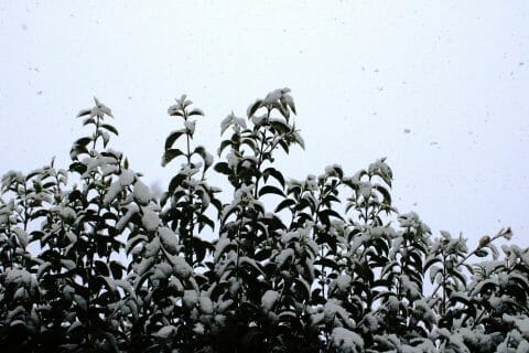 Cliquez pour zoomer ! Photo de mariaknight Thermomix par mariaknight