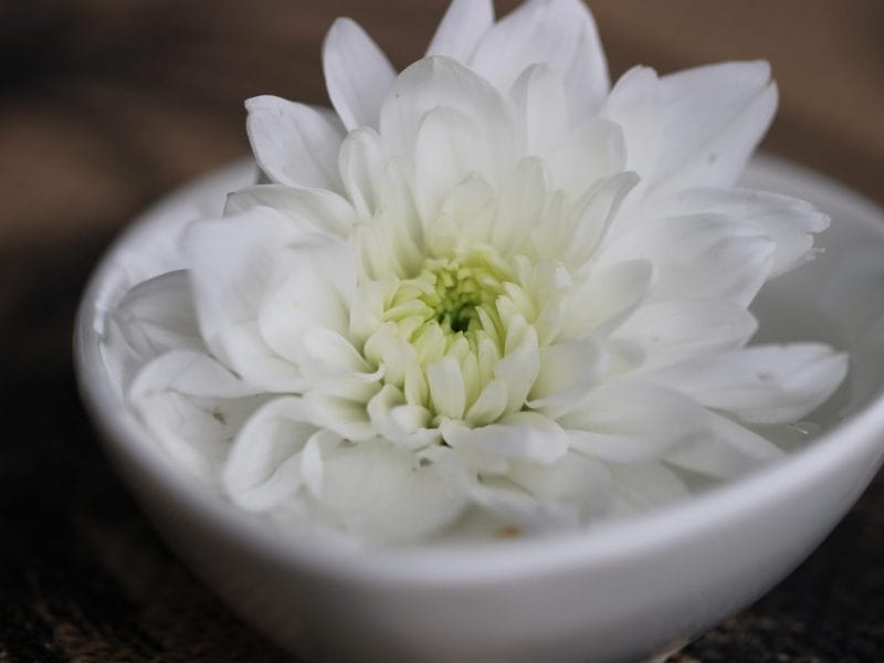 Cliquez pour zoomer ! Photo de mariaknight Thermomix par mariaknight