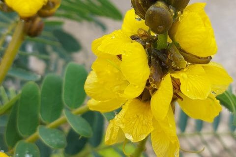 Cliquez pour zoomer ! Photo de mariaknight Thermomix par mariaknight