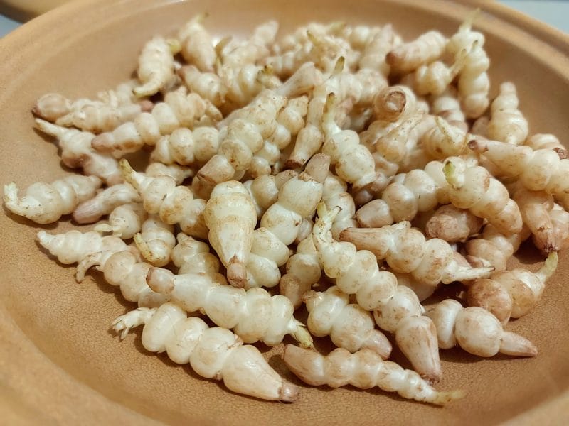 Cliquez pour zoomer ! Photo de mariaknight Thermomix par mariaknight