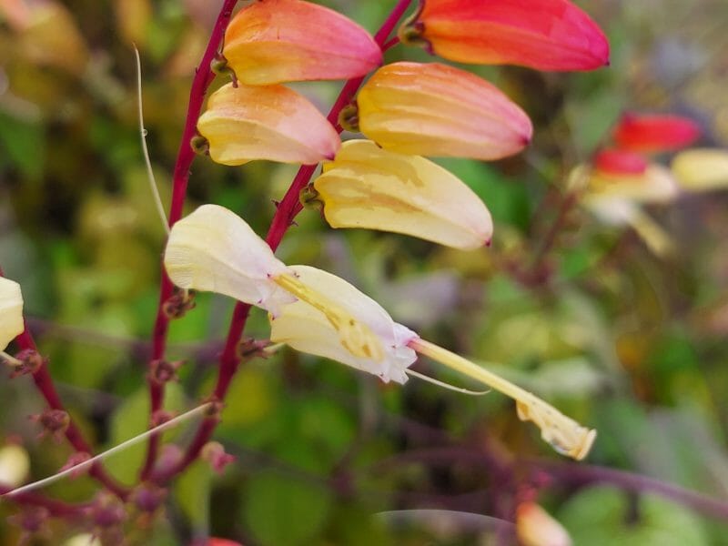 Cliquez pour zoomer ! Photo de mariaknight Thermomix par mariaknight