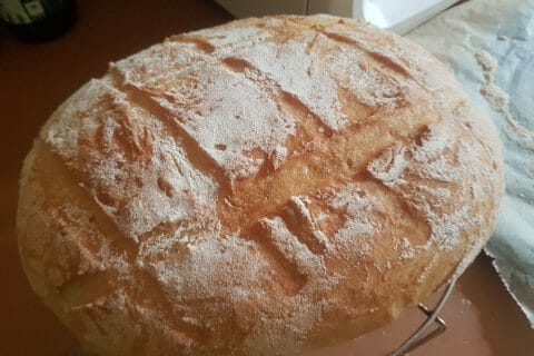 Cliquez pour zoomer ! Pain Cocotte Thermomix par severine2