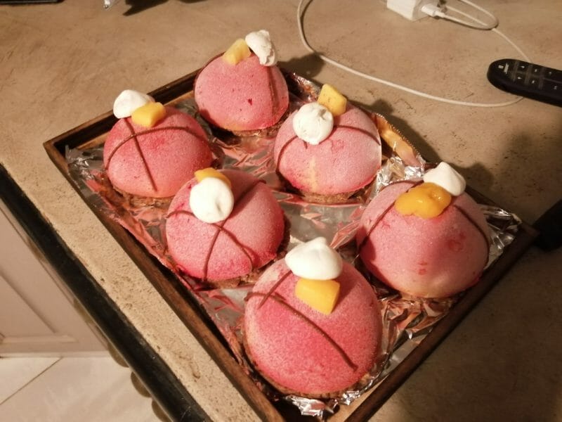 Cliquez pour zoomer ! Bûche glacée mangue et framboise Thermomix par sev34290