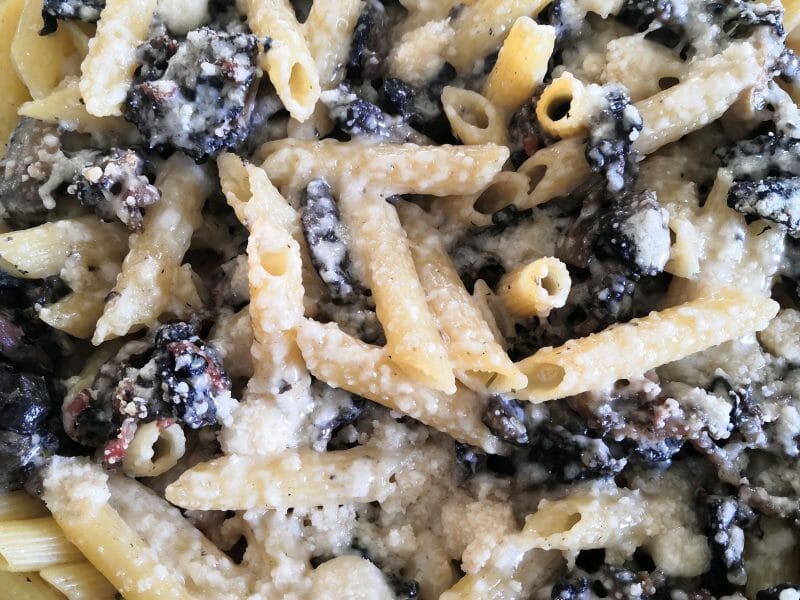 Cliquez pour zoomer ! Gratin de pennes aux champignons Thermomix par ms0812