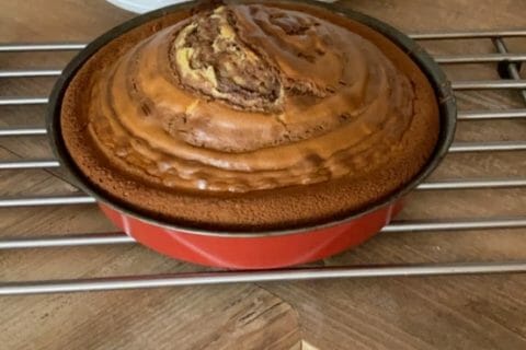 Cliquez pour zoomer ! Gâteau zébré Thermomix par Manon