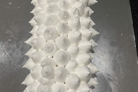 Cliquez pour zoomer ! Bûche au citron meringuée Thermomix par angelique4226