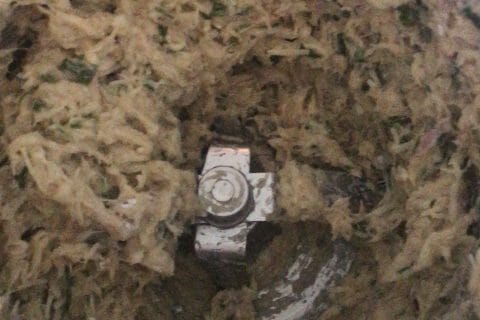 Cliquez pour zoomer ! Croquettes de poissons Thermomix par cassiecassou