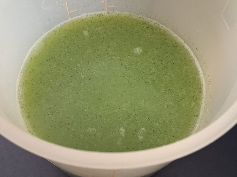 Cliquez pour zoomer ! Lemon mint Thermomix par louloutevan38