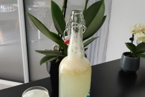 Cliquez pour zoomer ! Citronnade au Thermomix