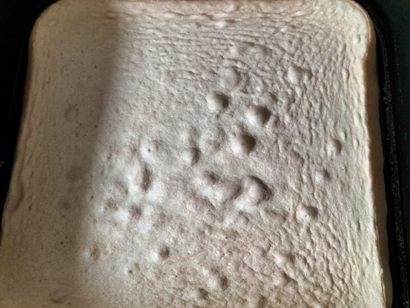 Cliquez pour zoomer ! Fraisier Thermomix par louloutevan38