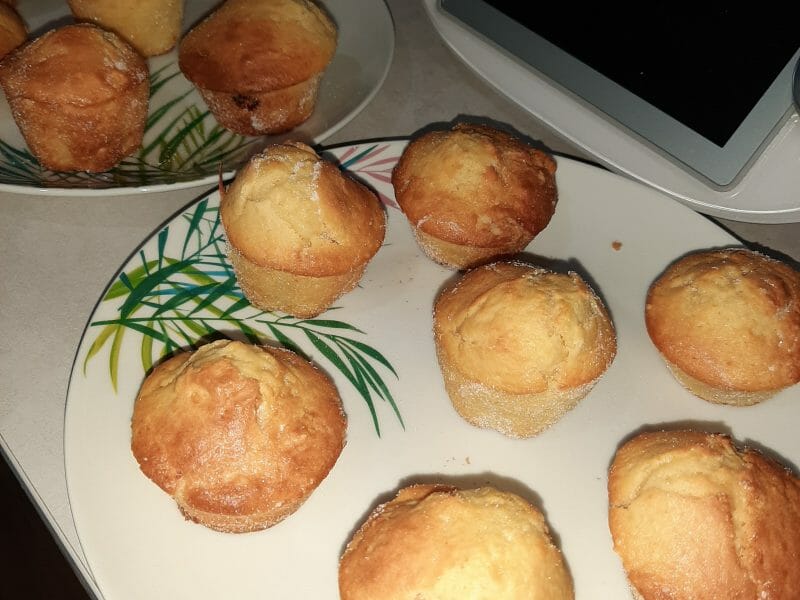 Cliquez pour zoomer ! Doffins Thermomix par loumimilou