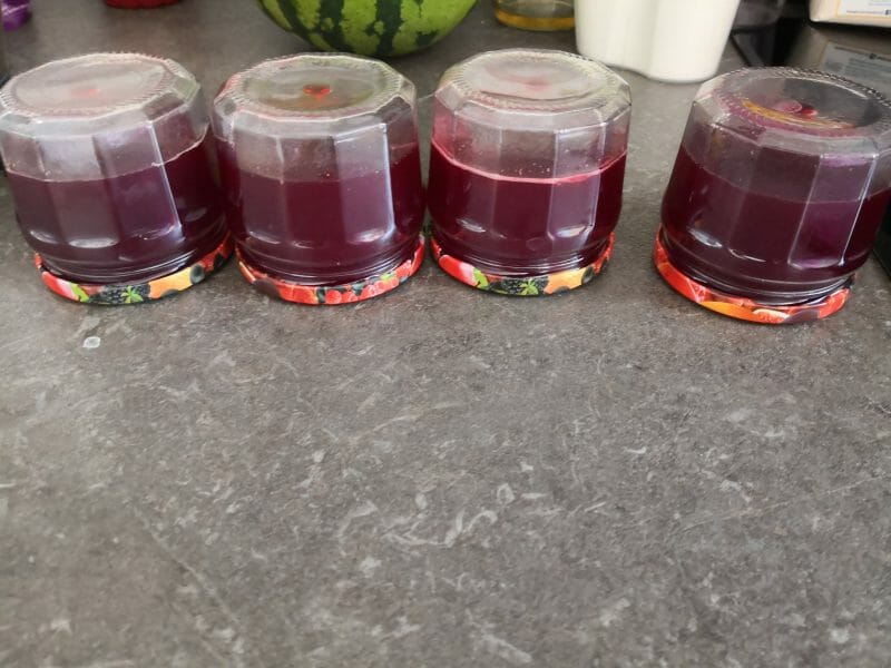 Cliquez pour zoomer ! Gelée de groseilles Thermomix par romy78