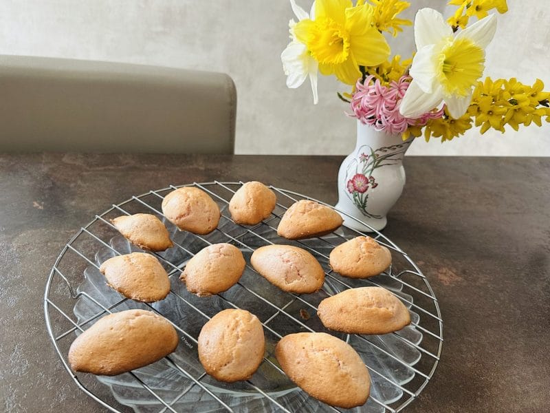 Cliquez pour zoomer ! Madeleines aux biscuits roses de Reims Thermomix par patou5