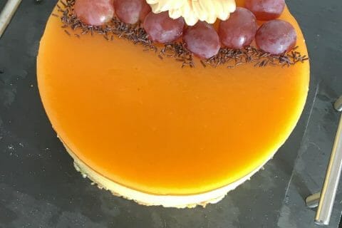 Cliquez pour zoomer ! Bavarois à l’abricot Thermomix par chaaa68