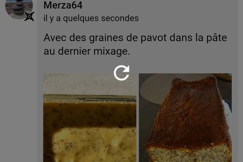 Cliquez pour zoomer ! Photo de Merza64