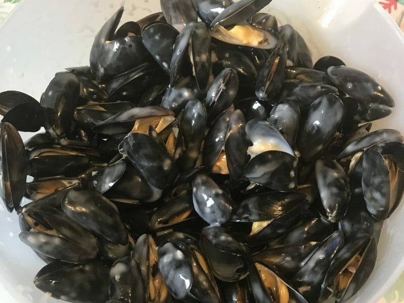 Cliquez pour zoomer ! Moules marinières Thermomix par nanie865