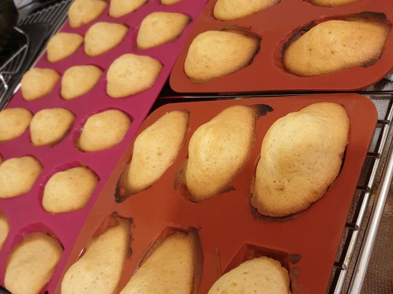 Cliquez pour zoomer ! Madeleines Thermomix par Karine86