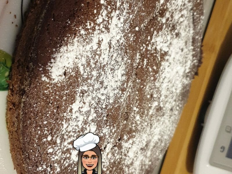 Cliquez pour zoomer ! Gâteau au chocolat et courgettes Thermomix par Mélou68