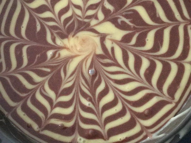 Cliquez pour zoomer ! Gâteau zébré Thermomix par cecile9306