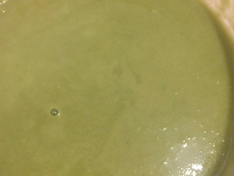 Cliquez pour zoomer ! Velouté d’haricots verts Thermomix par juliemarine