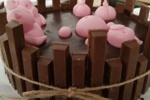 Cliquez pour zoomer ! La mare aux cochons Thermomix par laubellia