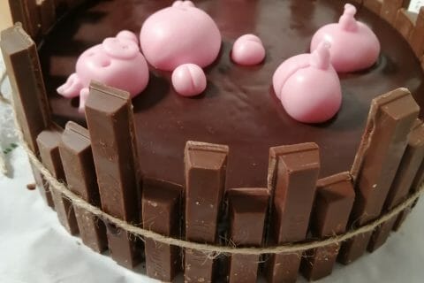 Cliquez pour zoomer ! La mare aux cochons Thermomix par laubellia