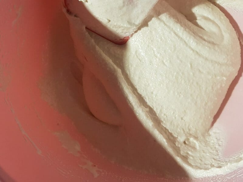 Cliquez pour zoomer ! Macarons Thermomix par flavie66