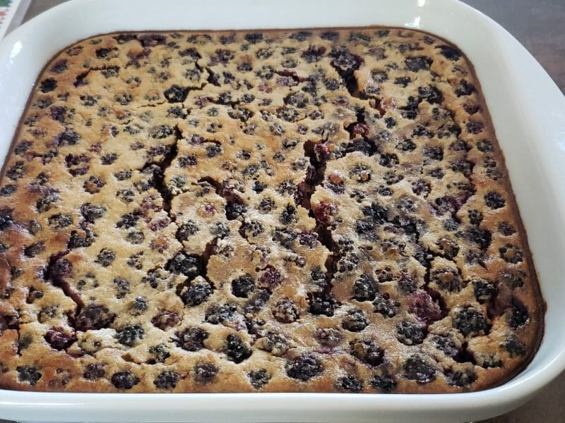 Cliquez pour zoomer ! Clafoutis aux mûres sauvages Thermomix par Joline