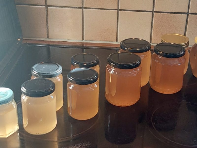 Cliquez pour zoomer ! Gelée de pommes Thermomix par Mjess