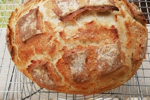 Cliquez pour zoomer ! Pain Cocotte au Thermomix