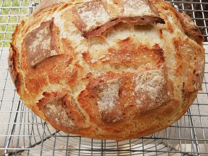 Cliquez pour zoomer ! Pain Cocotte Thermomix par marieandree07