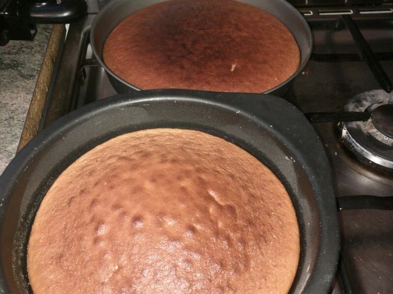 Cliquez pour zoomer ! Gâteau au yaourt Thermomix par Ello slvt