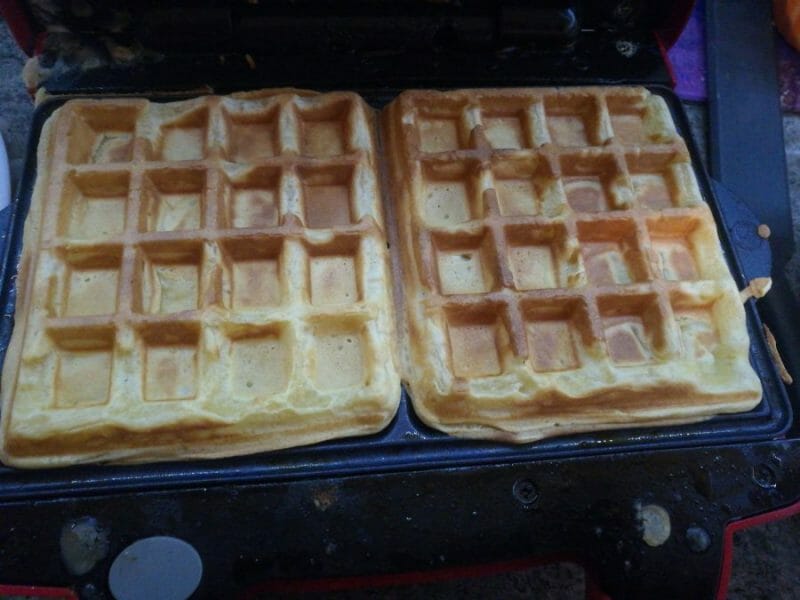Cliquez pour zoomer ! Gaufres Thermomix par Ello slvt
