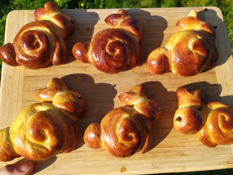 Cliquez pour zoomer ! Brioches lapin de Pâques Thermomix par damiouf