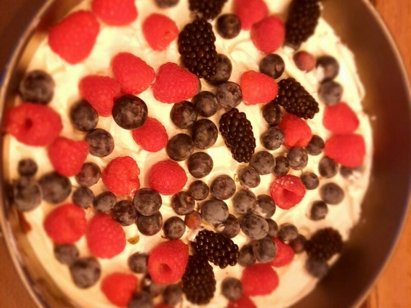 Cliquez pour zoomer ! Tarte aux fraises sans cuisson Thermomix par titikaka